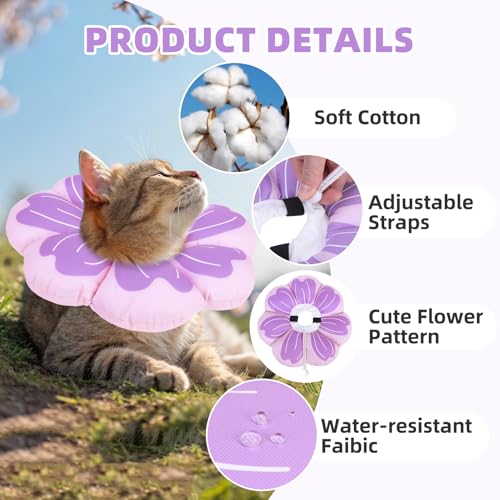 PUPTECK Cat Cone Collar, Soft Kitten Recovery Collar, Lightweight Anti-Bite Lick Elizabethan e Collar for Cats Puppy After Surgery, Purple M - color: Purple, size: M - Neck Up to 10.5"