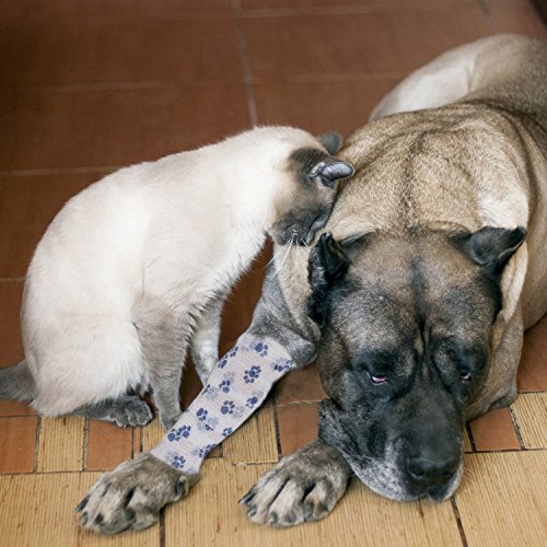 Pet Bandage Cohesive Bandage Self Adhering Wrap Tape, Multi-Function Elasticity Gauze Rolls Wrap First Aid Vet Tape for Dogs Cats Horses Birds Ankle Sprain (White and Blue)