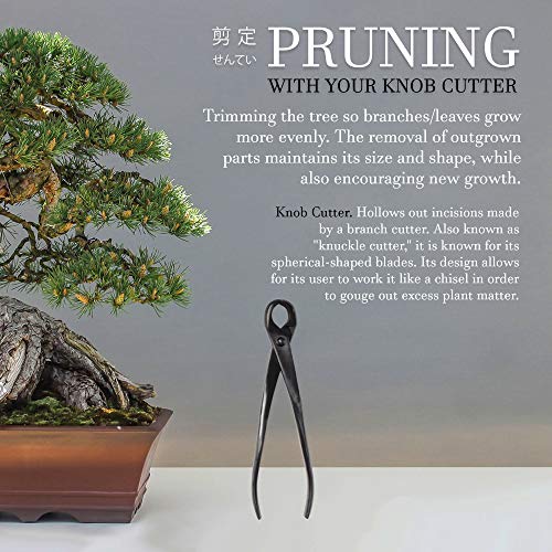BambooMN Bonsai Tool Kit - 8" Concave Cutter & 8" Knob Cutter - 1 Set - color: Concave Cutter & Knob Cutter Set, size: 1