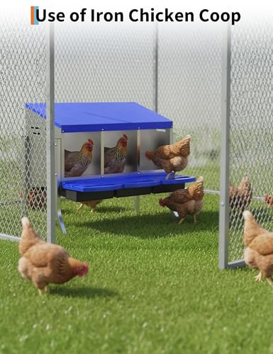 Metal Chicken Nesting Box with Easy-Collect Tray & Lid – 3/4/2x2 Compartment Heavy Duty Roll Away Nesting Boxes for Chickens, Wall Mount or Freestanding, Galvanized Steel Hen Laying Box for Coop