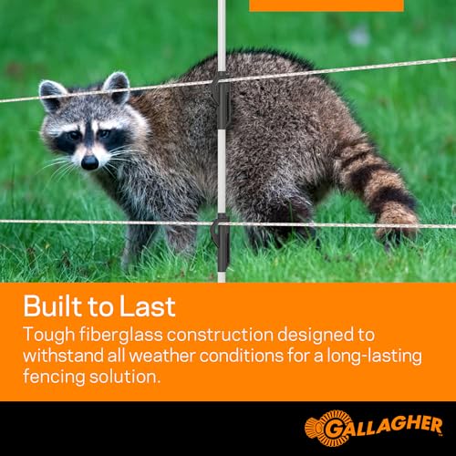 Gallagher 3/8" x 48" Fiberglass Step-in Electric Fence Posts 50 Pack | Holds Wire Polywire Polytape | Weatherproof & Lightweight | Portable Fence Posts for Livestock Gardens & Rotational Grazing