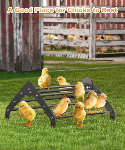 Koutemie Adjustable Chicken Perch for Coop, Small | Chick Roosting Bars for Chickens in Coop and Brooder, Baby Chicks Toys Training Supplies for Bird Parrot Hens Macaw