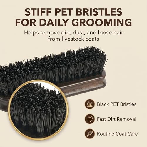 Small Livestock Grooming Brush for Horse, Cow, Pig, Sheep & Goat – Stiff Bristle Barn Brush with Wooden Handle, Cattle Farm Tool for Show Day Dirt, Hair & Coat Care