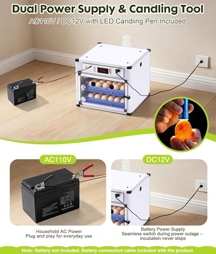 136 Eggs Automatic Egg Incubator with Auto Turner, Digital Temp Humidity Control & Water Refill, Poultry Incubator for Chicken Duck Goose Quail Pigeon Eggs, AC110V/DC12V Dual Power