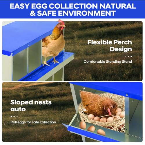 Garvee Chicken Nesting Box, 8 Compartments Nesting Box for Chickens, Galvanized Steel Chicken Laying Box for Easy Egg Collection, Wall Mounting - color: Blue | 8 Compartments+legs