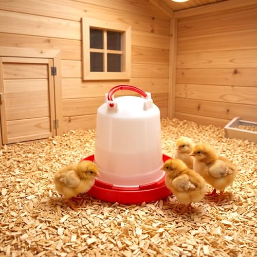 6 Pack Chick Waterer, 1L Poultry Water Feeder Plastic | Poultry Drinker with Handle, Chicken Water Dispenser, Waterer Hanging Poultry Water Container for Chickens Quail