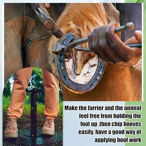 Zonon Farrier Horse Hoof Stand, Tool-Height Adjustable Metal Horse Hoof Trimming Tools, Extra-Large Base Enhances Stability, Blacksmith Farrier Stand(Black,Metal Round Base) - style: Metal Round Base