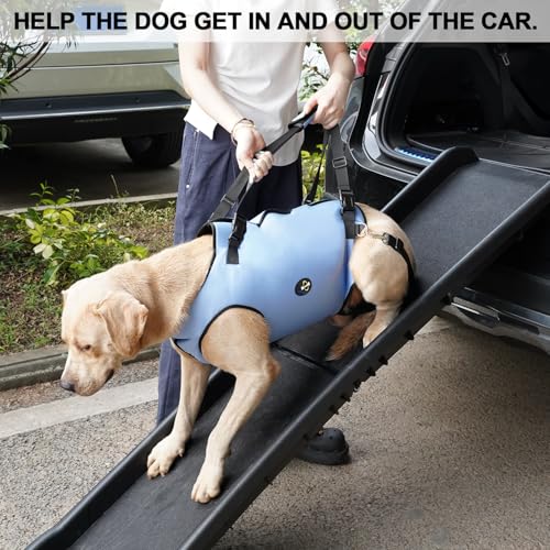 Coodeo Dog Lift Harness, Pet Support & Rehabilitation Sling Lift Adjustable Padded Breathable Straps for Old, Disabled, Joint Injuries, Arthritis, Loss of Stability Dogs Walk (Blue, M) - color: Blue, size: Medium