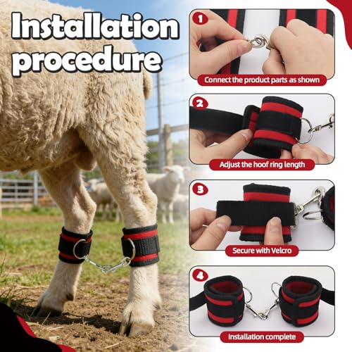 2PS Goat Binding Leg Restraint Anti-Kick Tool Adjustable with Metal Buckle | Hobbles Milking Restraints Durable Nylon Goat Milking Supplies Binding Straps Kit for Milking Stand,Milking,Training（Red）