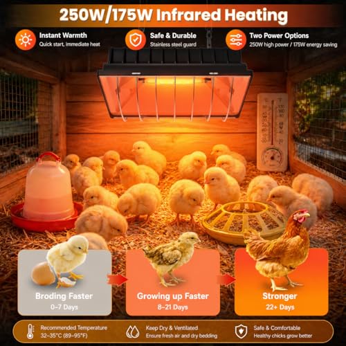 Chicken Brooder Heater for Chicks, Chick Brooder Heat Lamp with 250W & 175W Heating Bulbs, 4 Adjustable Heat Levels for Baby Chicks, Quail, Ducklings & Poultry Brooding