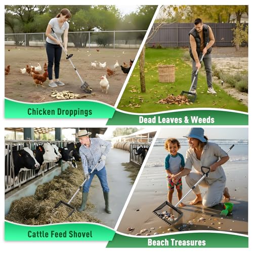 Large Chicken Poop Scooper: 2-in-1 Metal Pooper Scooper & Rake Adjustable 62" Long Handle Stainless Steel Sand Sifting Litter Shovel Chicken Coop Scoop Cleaning for Bedding Goats Bright Black - color: Bright Black