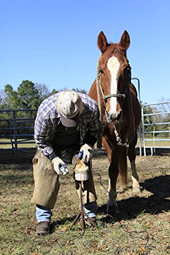 Horse Hoof Trimmers Kit, Basic 110V Electric Set with Supplies | Horse Hoof Trimming Tools, Farrier Tool Kit, Grinder Discs Included, Accessories Included