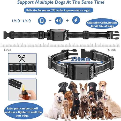 Dog Wireless Fence & Remote Shock Dog Training Collar 2-in-1, Electric Dog Fence, Adjustable Warning Strength & Range Sizes, Rechargeable Pet Boundary Containment System for 1/2/3/4 Dogs,for3dogs - size: for3dogs