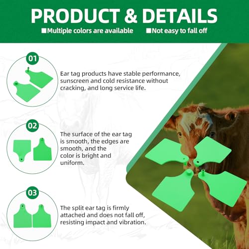 TPU Large Size Split Type Blank Large Cattle Ear Tags,50PCS Upgrade to Prevent Tampering Livestock Ear Tags, for Cattle,Sheep Goat, Pig, 3.9x2.9in (Green) - color: Green