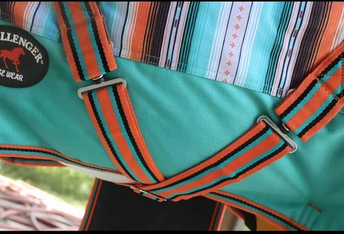 CHALLENGER 1200D Miniature Weanling Donkey Pony Horse Foal Winter Blanket - color: Fiesta Serape, size: 50 Inches