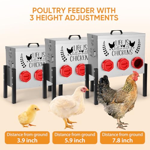 ‎Tgeyd 30 lb Chicken Feeder with 6 No-Waste Ports – Heavy-Duty Outdoor Metal Feeder with Adjustable Height, Locking Lid & Riveted Handles – Rustproof Feed Box for Poultry & Backyard Chickens - color: Rose-bengal