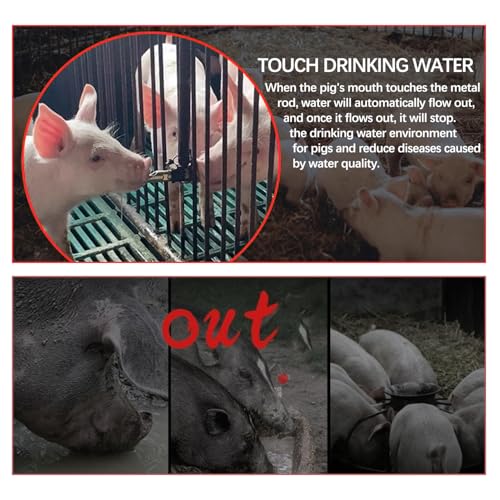 5PCS 1/2 NPT Pig Waterer Nipple Kit Stainless Steel Pig Waterer Nipples, Set of 5 with Installation Tool and Seals