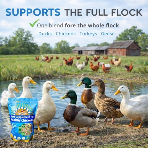 Herb Supplement for Ducks - Natural Waterfowl Treat, Botanical Duck Feed Additive, Plant-Based Flock Support for Egg Production, Feather Health & Daily Wellness, Handcrafted in USA (12 oz)