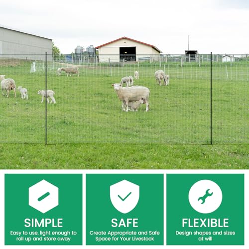 Non Electric Fence Netting 40" x100', Boundary Fence with Double Spiked Posts, Portable Poultry Fencing for Dogs, Chickens, Ducks, Turkeys in Backyard, Garden, Farm