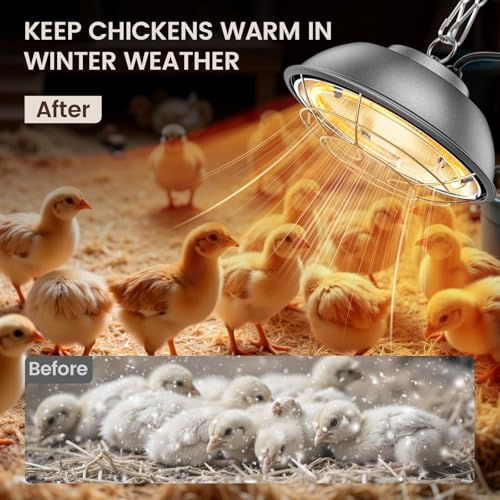 350 Watt Heat Lamp for Chickens - Chtoocy Chicken Coop Heater with Carbon Fiber Bulb, 5.2FT Thickened Power Cord & Chicken Heat Lamp with 2 Temperature Adjustable (175/350W) for Chicks, Ducks and Pets