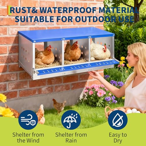 37.8" Metal Chicken Nesting Box, 3-Compartment Poultry Nest Box with Perch and Ventilation Holes, Blue Roof Hen Laying Box for Up to 3 Chickens - color: Blue A, size: 37.8"L x 15.8"W x 18.9"H