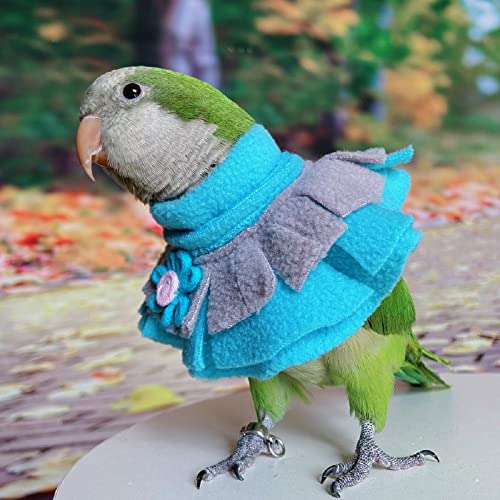 RRRIOT Parrot Neck Collar Pet Anti-bite Picking Feather Healing Protective Neck Cover Collar for Birds (2XL)