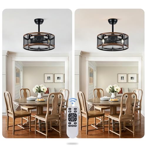 19" Modern Fandelier Ceiling Fan with Lights Remote Black Caged | Chandelier Ceiling Fan Industrial Fandelier for Bedroom Living Room, Reversible DC Motor 6 Speeds, 4 E12 Bulbs (Not Included) - color: Mesh Cage
