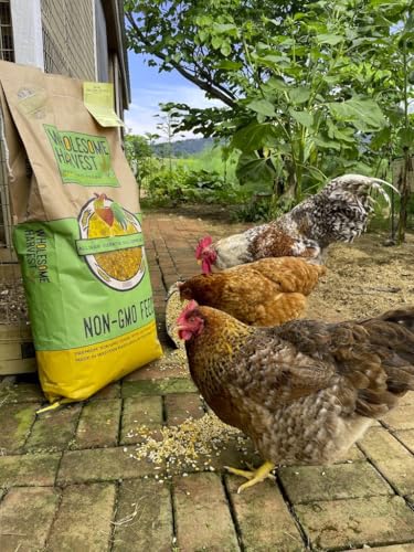 Non-GMO Soy and Corn Free Whole Grain Layer Blend 16% - Chicken Feed for Laying Hens and Ducks - Includes Essential Oils, Herbs, Oyster Shells, Vital Minerals, and Omega 3, 40lb - size: 40 Pound (Pack of 1), style: Whole Grain Layer