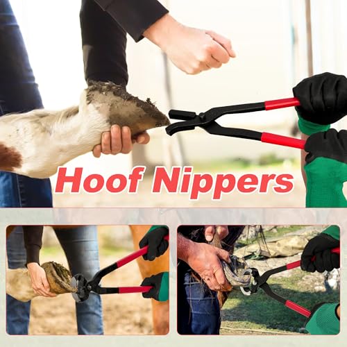 8Pcs Farrier Hoof Tool Kit, Horse Hoof Trimming Tools, For Horses Cattle | Farrier Hoof Nippers, Horseshoe Cutting Pliers, Hoof Rasp File, Horseshoe Brush, Hoof Knife, Hoof Hammer, For Sheep Donkeys