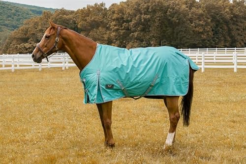 TuffRider 600 D Comfy Winter Turnout Blanket Medium Weight 200 GSM Standard Neck - color: Turquoise, size: 87