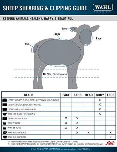 Wahl Professional Animal X-Blend Cattle Competition Blending Blade (#2450-100), Steel - size: X-Blend