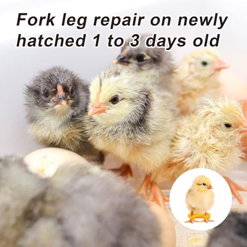 Gosknor 15pcs Chicken Leg Bands, Baby Chick Splay Leg Hobble Chicken Leg Bands Poultry Leg Ties Chicken Ties Chicken Hobble Braces for 1 to 3 Days Old Newborn Chicks Birds