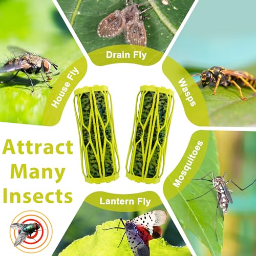 4 Pack Wasp Trap Outdoor Hanging Carpenter Bee Traps for Outside, Fly Wasp Catcher Fly Trap Indoor Killer Hunter for Hornet, Gnat, Mosquito, Flying Insect
