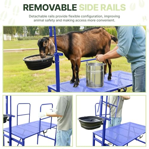 Goat Stand with Adjustable Headpiece & Legs, Goat Milking Stand with Feeder, Rails & Wheels, Stanchion for Grooming & Hoof Trimming, Sheep Stand for Shearing Heavy-Duty Steel Platform, Blue - color: BLUE