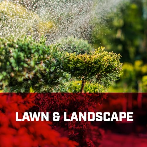 Chapin 2-Gallon Steel Pump Sprayer for Heavy-Duty Weed Control | Chemical-resistant components, brass spray system and reinforced hose for applying fertilizers, weed killers and pest control - style: Upgraded Professional-Use Steel Sprayer