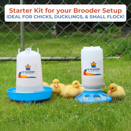 Lil'Clucker 1L Chick Feeder, 1.5L Chicken Waterer - No Leakage Chick Feeder and Waterer Kit, Durable Chicken Water Feeder, Chicken Feeder and Waterer Set, Poultry Waterer (Blue) - color: Blue