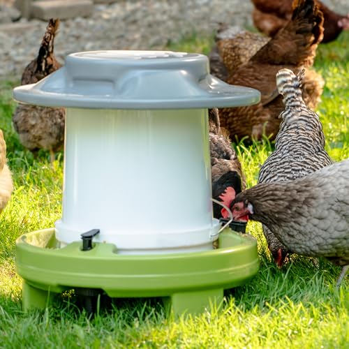 American Home Self-Filling Farmstead Chicken Feeder, 30 lb Capacity, Fits Standard 5-Gallon Bucket, Outdoor Weather-Resistant Design - size: Feeder