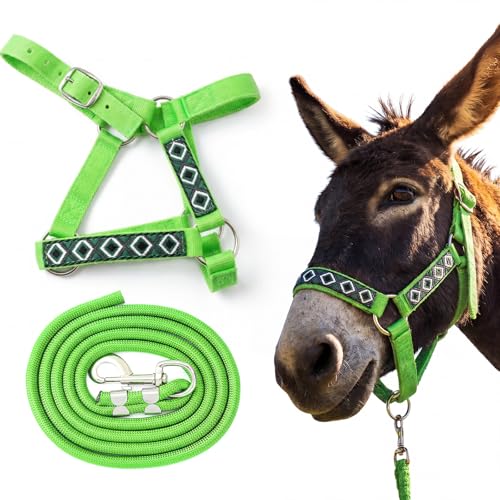 1 Set Mini Donkey Halter with Lead Rope Adjust, Bright Green | Nylon Head Collar, Cute and Stylish, for Miniature Donkey and Small Equines, Farm Ranch Pasture Outdoor, Gingham Plaid Trim - color: Bright Green