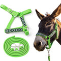 1 Set Mini Donkey Halter with Lead Rope Adjust, Bright Green | Nylon Head Collar, Cute and Stylish, for Miniature Donkey and Small Equines, Farm Ranch Pasture Outdoor, Gingham Plaid Trim - color: Bright Green