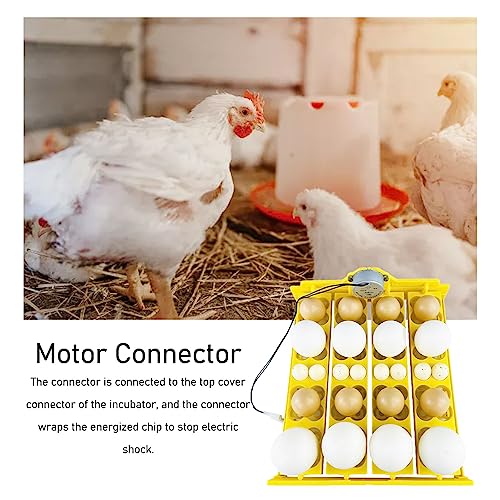 Egg Turning Tray, AC 110V Chicken Multifunction Automatic Turner Incubation, Quail Incubators for 16 Duck Eggs 16 Eggs 72 Quail Eggs - size: AC110V