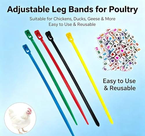 100PCS 6 Colors Chicken Leg Bands with Alphabet Number Beads for Duck Goose Farm Animal Tagging