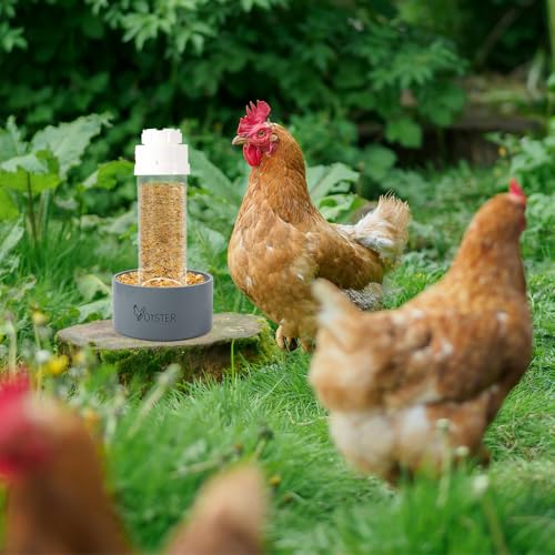Kalekey 2 Pack Transparent PVC Chicken Feeder, Oyster Shell and Grit Feeder Hanging Ground Chicken Coop Feeder with Hanging Hook for Hens & Chicks (Grey) - color: Gray