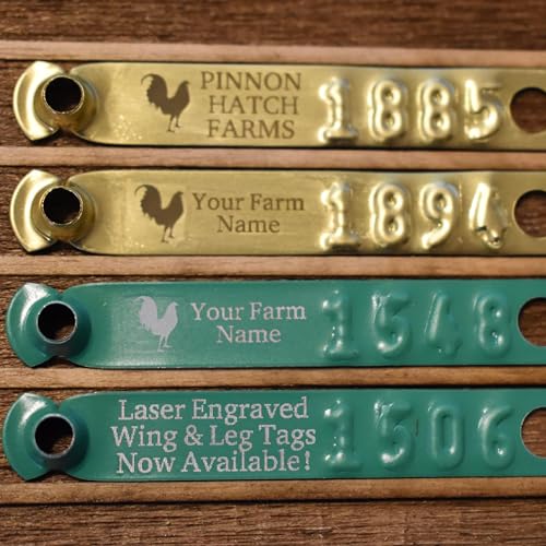 Pinnon Hatch Farms Custom Engraved Aluminum Leg Bands Chicken Poultry Duck Peacock Leg Rings Identification Tags Text and/or Artwork (100, Blue) - color: Blue