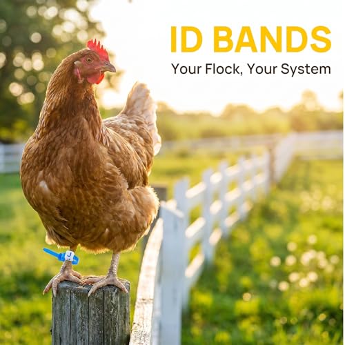 Chicken Leg Bands, 100 Pack | Adjustable Poultry Identification Bands with Number and Letter Charms for Chicks and Birds