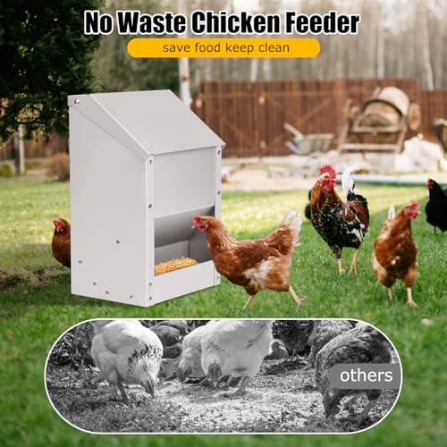 Automatic Chicken Feeder 10lb Hanging Feeder Trough with Scoop | Galvanized Metal Gravity Chicken Feeder, Duck Feeder, Chicken Feeder Trough with Lid for Chickens Ducks Goose Poultry