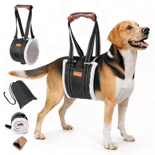 Dog Lift Harness,Dog Sling for Back Leg,Senior,Disabled Dog,ACL Brace(M) | Comfortable Adjustable Dog Carry Harness with handle, Leg Support Aid for Elderly Dogs with Hip, ACL Brace,Senior,Injured - size: M：30 - 80 Lbs