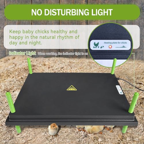 Chick Brooder Heater Plate for Up to 50 Baby Chicks Ducks | 16"x22" Brooder Plate for Chicks, Adjustable Height, Energy Saving, 50W, 110V - size: 22"L x 16"W
