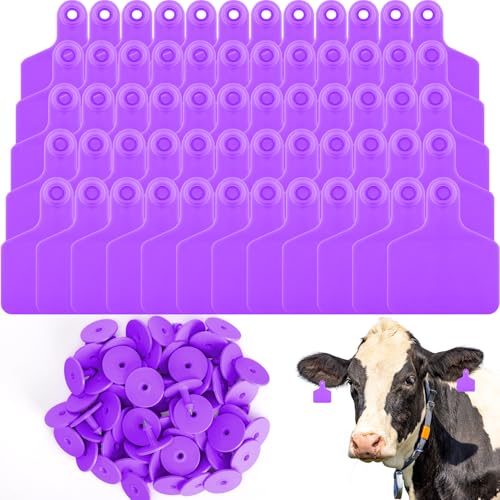 Lothee 100 Pcs Blank Cattle Ear Tags Large Plastic Precision Animal Identification Blank Livestock Ear Tags for Cattle Cow Horse Dog Pig Goat Sheep Farm Management (Purple) - color: Purple