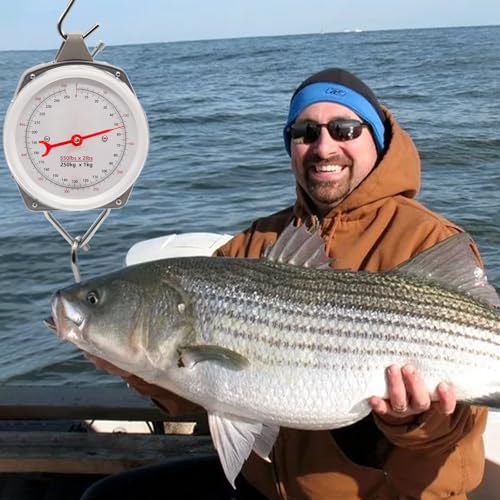 Hanging Spring Dial Scale, Fish Scales Digital Weight, 550lbs/250kg Capacity, Big Game Scale, Mechanical Kitchen Weighing Large Food Scale with 2 S-Hooks for Fishing Hunting Luggage - size: 550 lbs