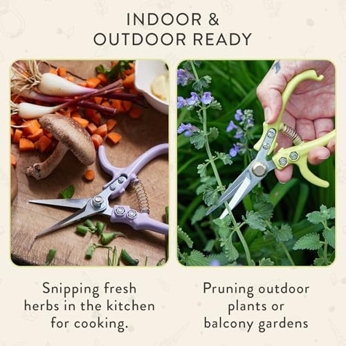 Modern Sprout Pruning Shears- Garden Snips-Herb Scissors- Chartreuse 1-Pack | Lightweight Gardening Tool - Durable Carbon Steel Blade W/Easy-Lock - Gardening Supplies - Flower Cutter - Reusable Holster - color: Chartreuse
